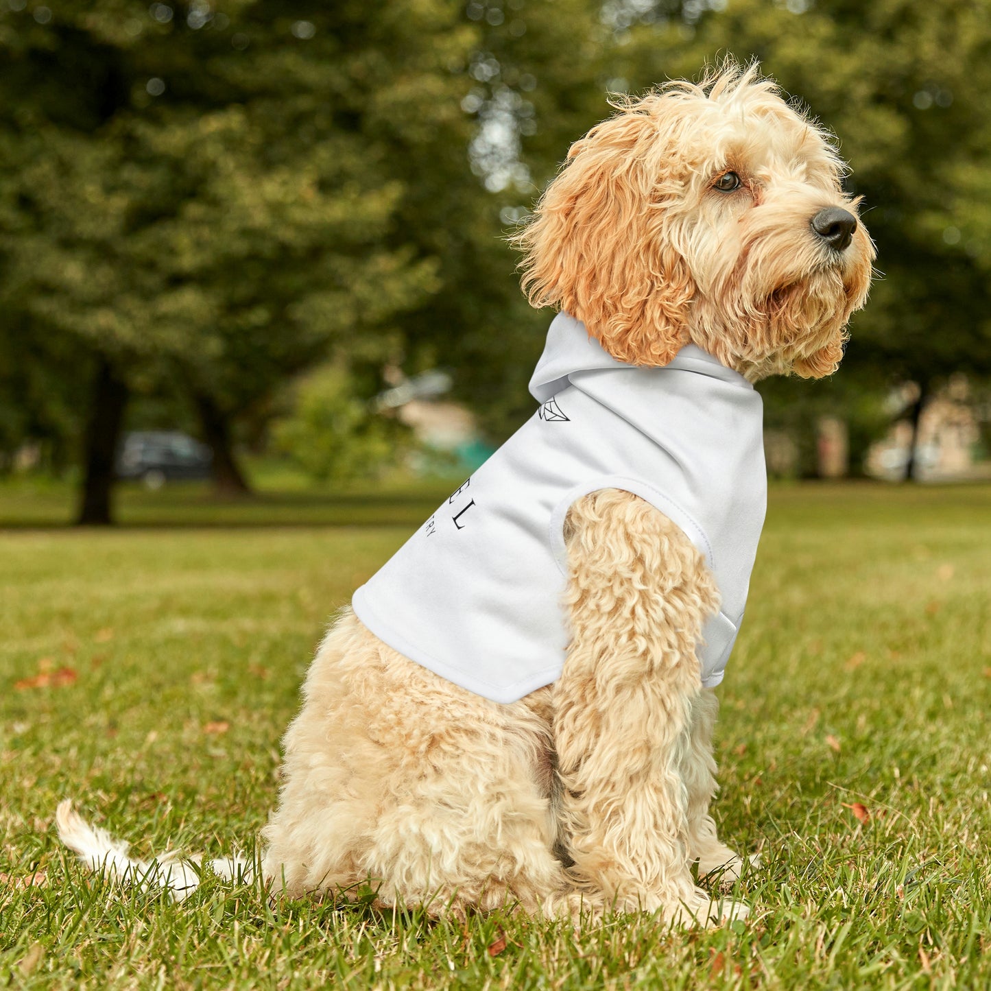 Angel Media Ministry - White Dog Hoodie