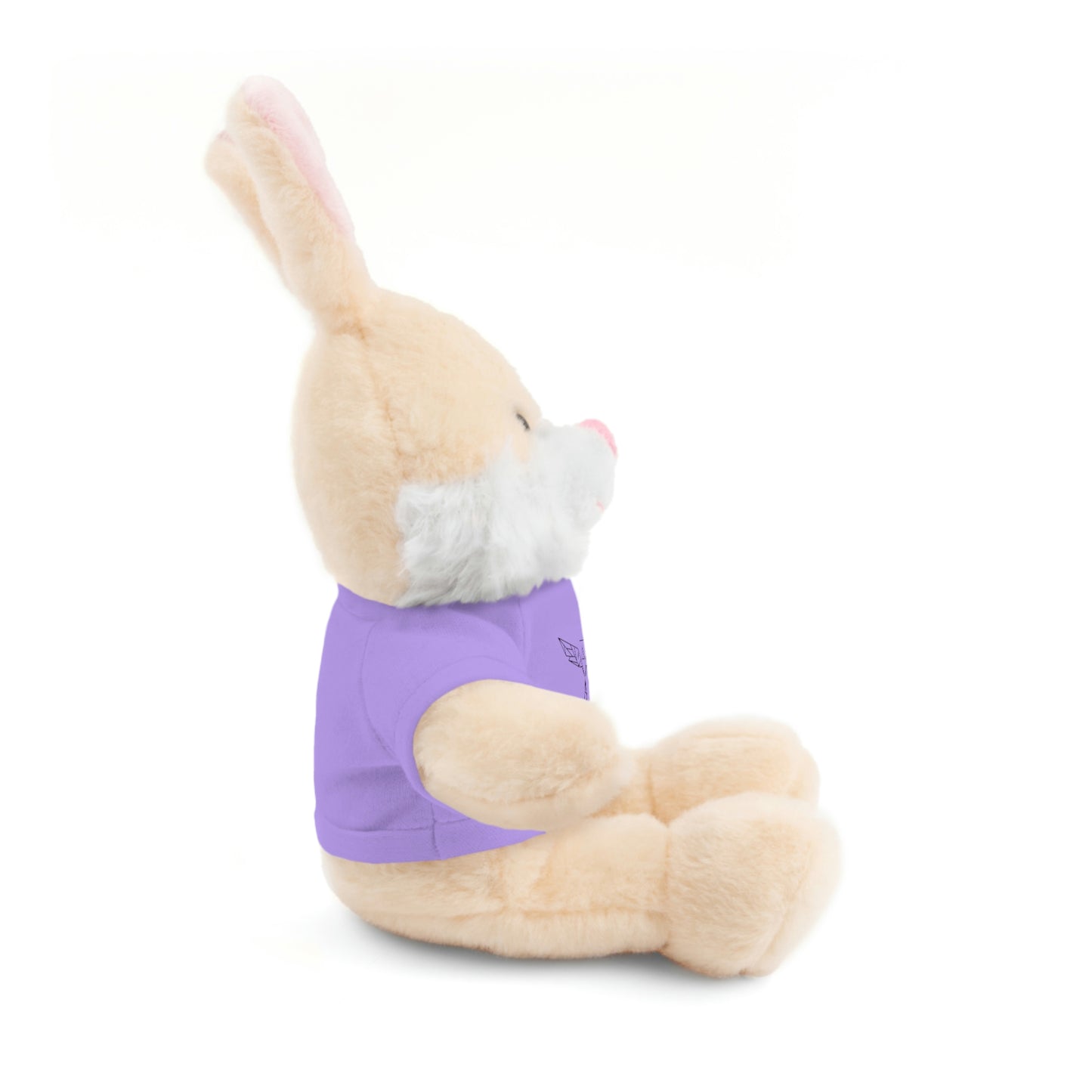 Angel Media Ministry - Bunny Stuffed Animals with Tee